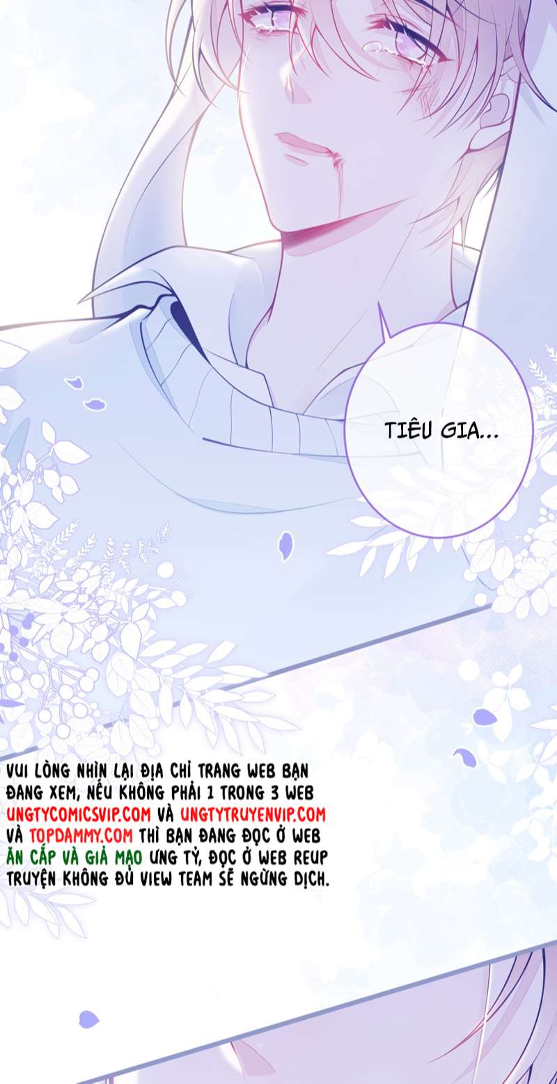 Báo Ân Của Sói Chap 1 - Next Chap 2