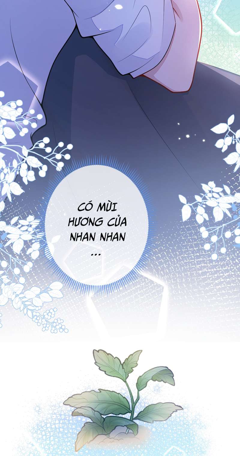 Báo Ân Của Sói Chap 1 - Next Chap 2