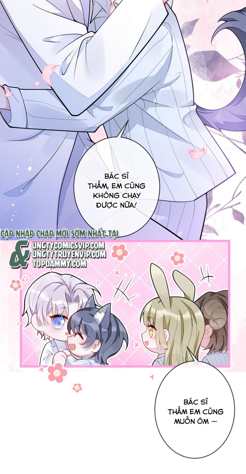 Báo Ân Của Sói Chap 3 - Next Chap 4