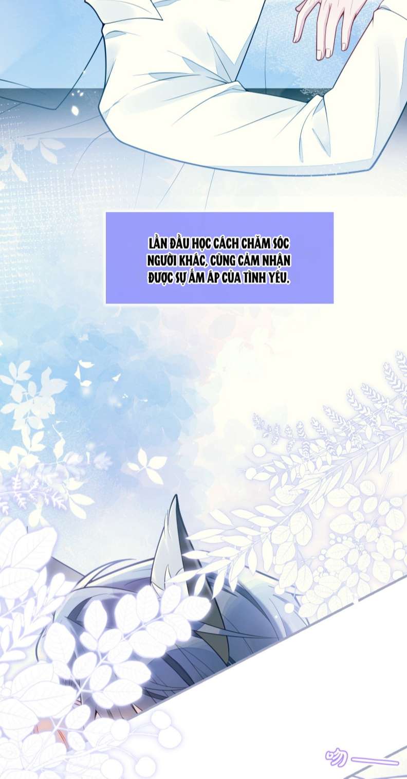 Báo Ân Của Sói Chap 4 - Next Chap 5