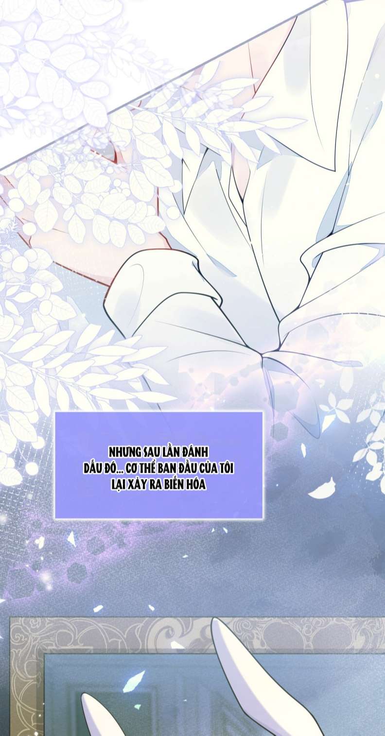 Báo Ân Của Sói Chap 4 - Next Chap 5