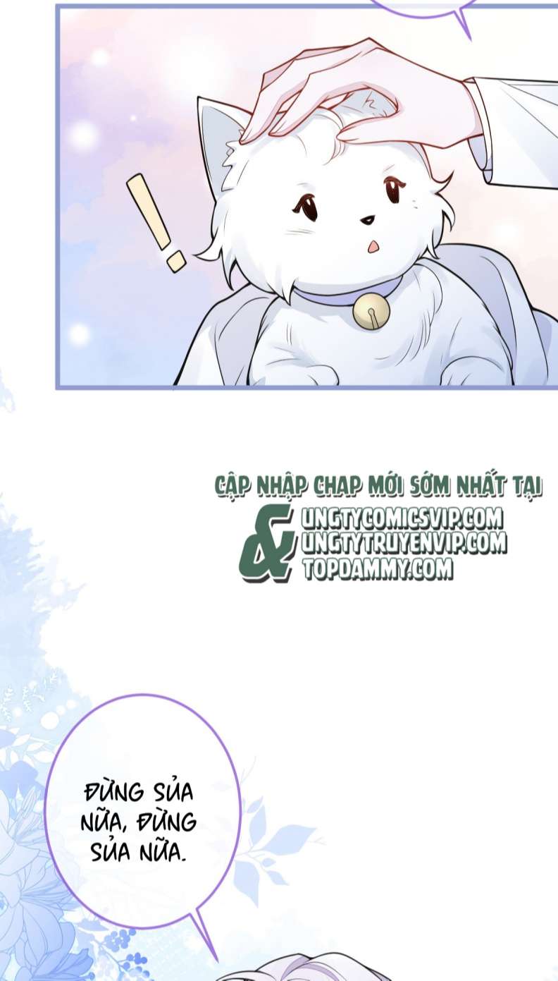 Báo Ân Của Sói Chap 4 - Next Chap 5