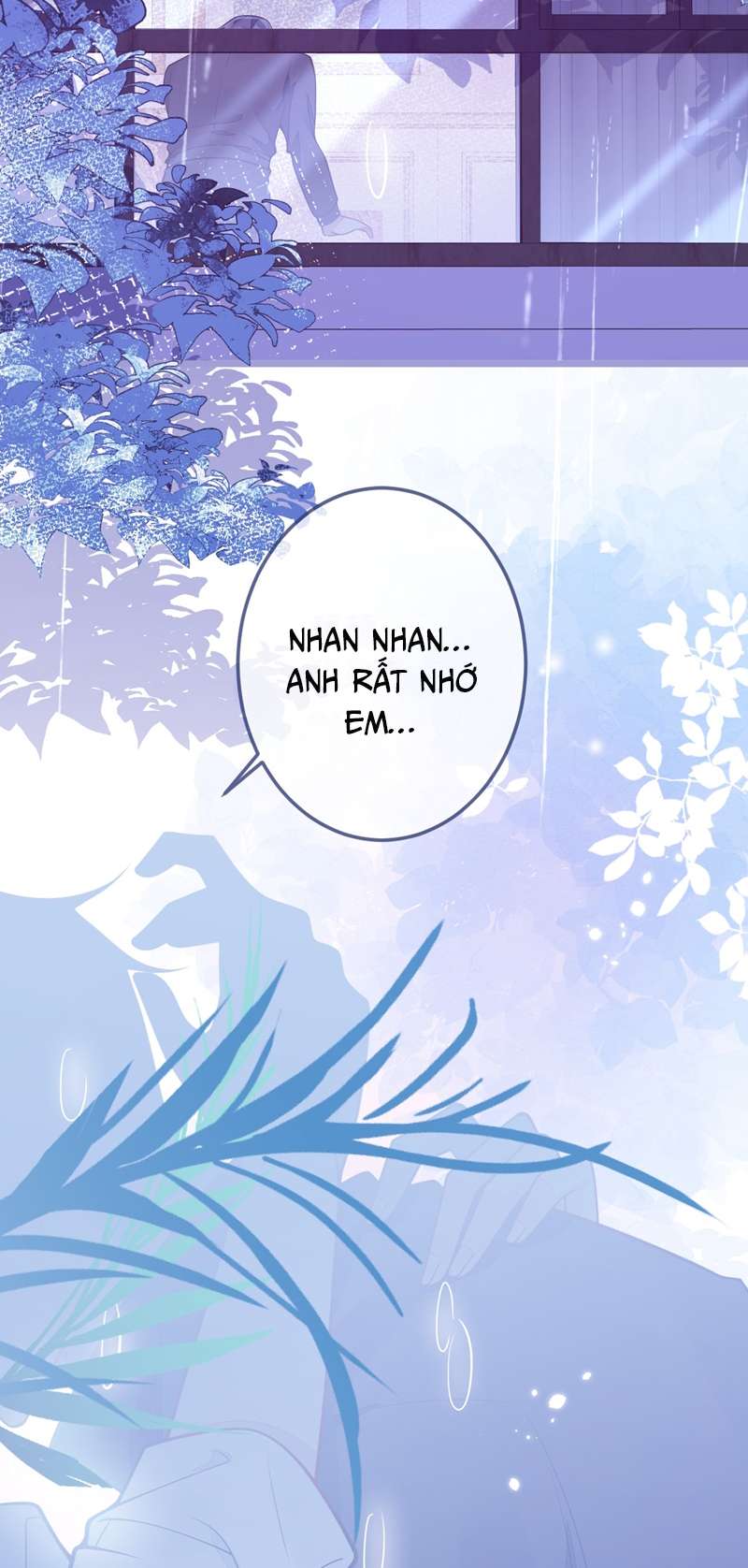 Báo Ân Của Sói Chap 6 - Next Chap 7