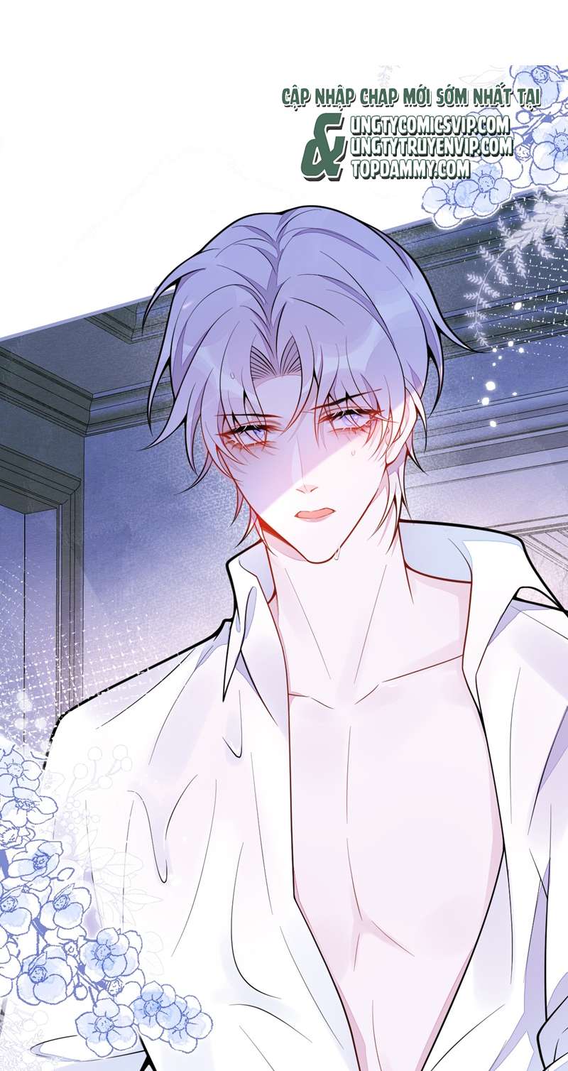 Báo Ân Của Sói Chap 6 - Next Chap 7