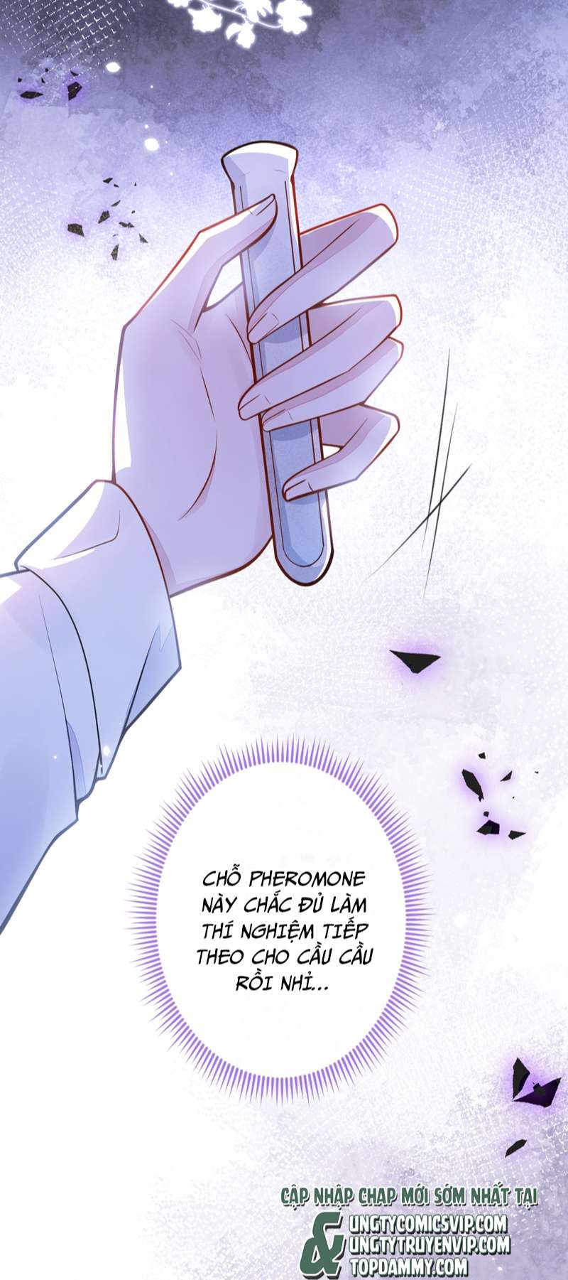 Báo Ân Của Sói Chap 6 - Next Chap 7