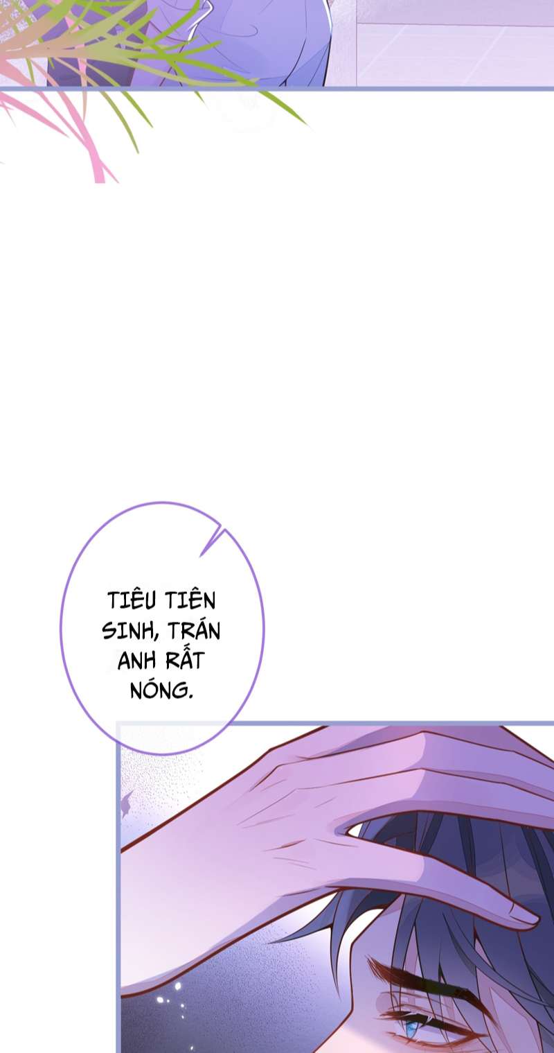 Báo Ân Của Sói Chap 6 - Next Chap 7