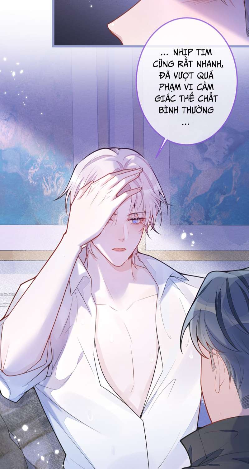 Báo Ân Của Sói Chap 6 - Next Chap 7