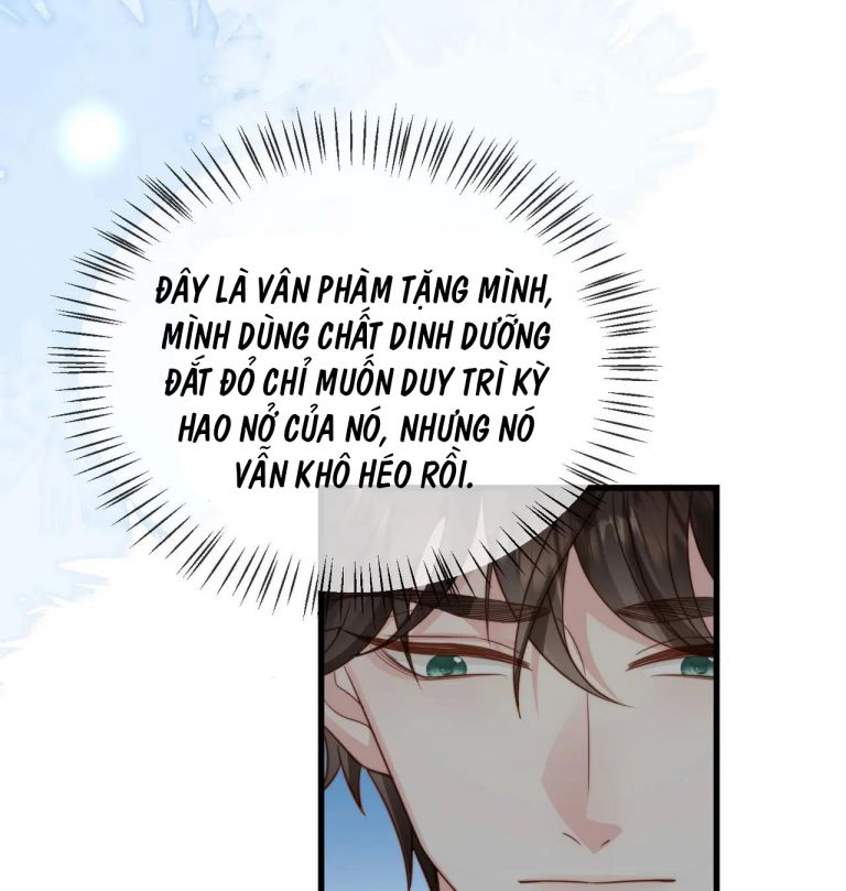 Sau Khi Mất Trí Nhớ Tình Địch Nói Tôi Là Bạn Trai Anh Ấy Chap 40 - Next Chap 41