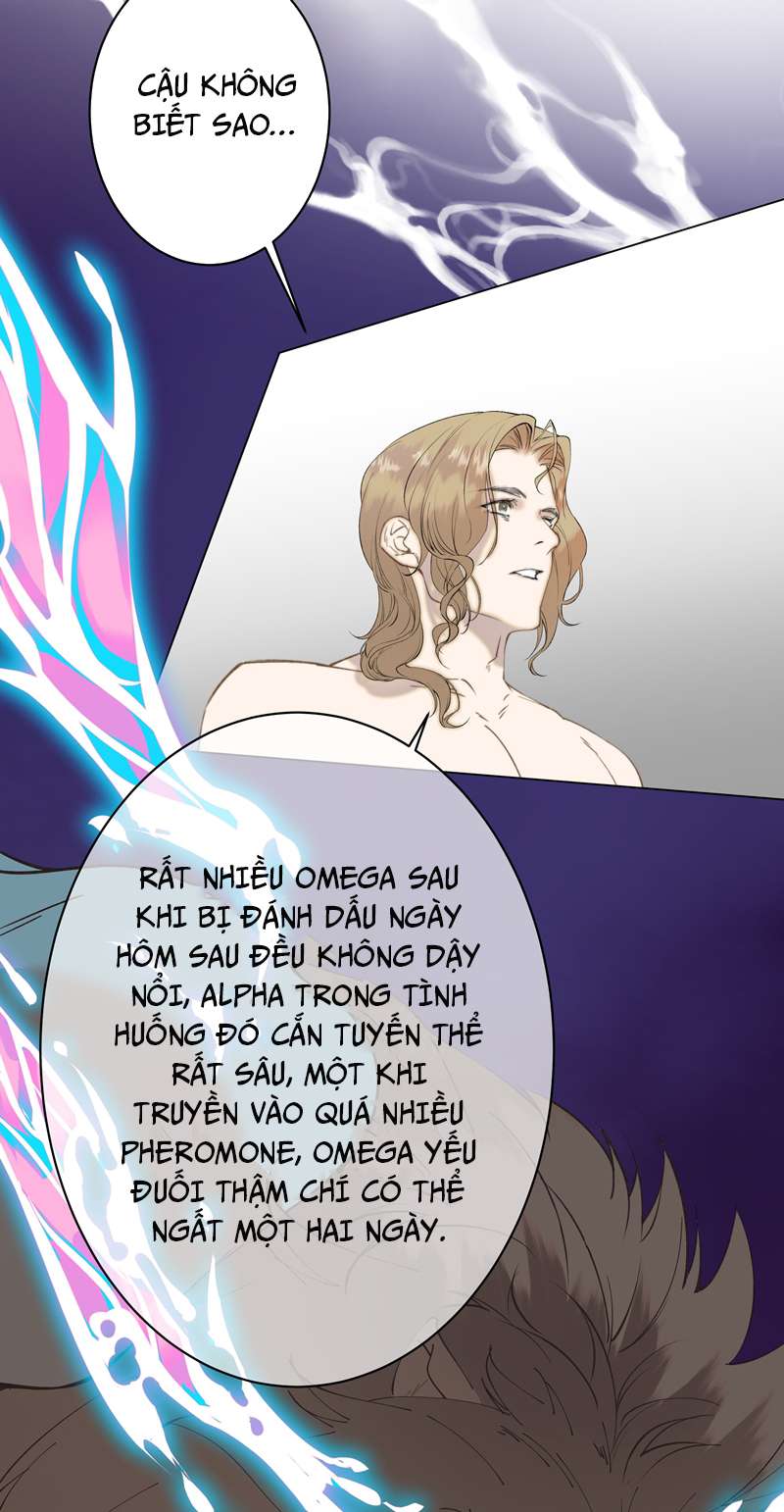 Vị Alpha Này Thân Tàn Chí Kiên Chap 6 - Next Chap 7