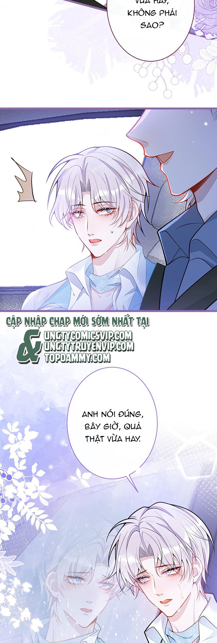 Báo Ân Của Sói Chap 9 - Next Chap 10