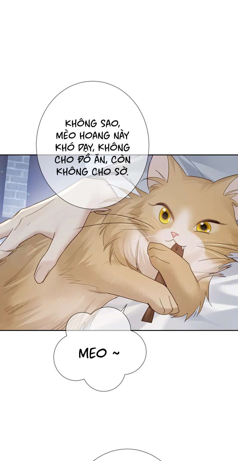 Nhân Vật Chính Chỉ Muốn Yêu Đương Chap 63 - Next Chap 64