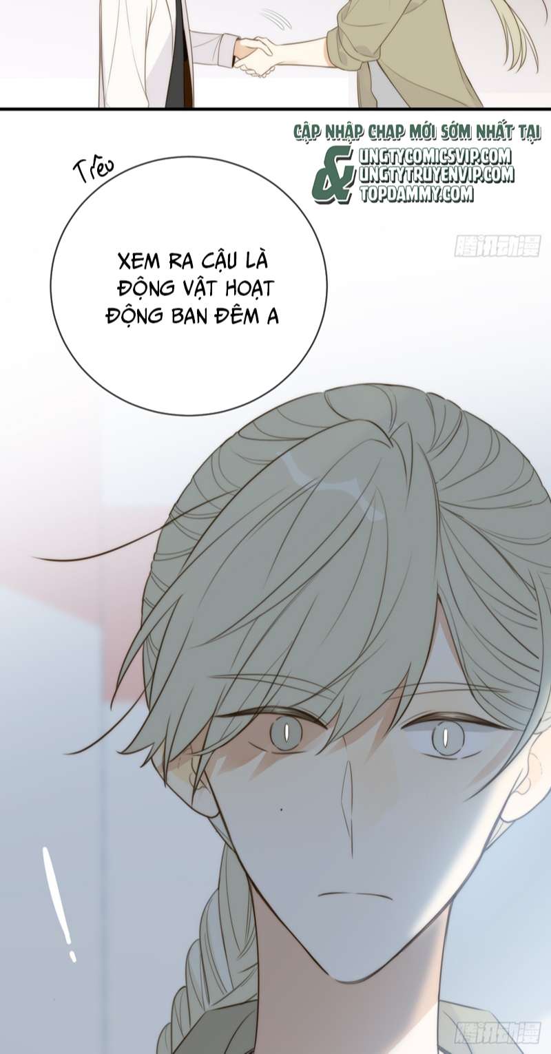 Chỉ Có Đuôi Là Không Thể Chap 42 - Next 