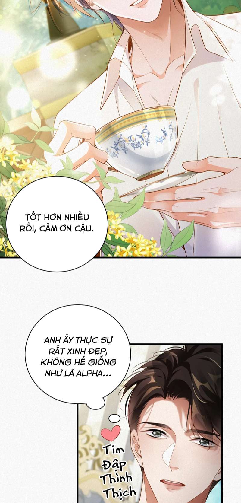 Chồng Trước Lại Muốn Phục Hôn Rồi Chap 24 - Next Chap 25