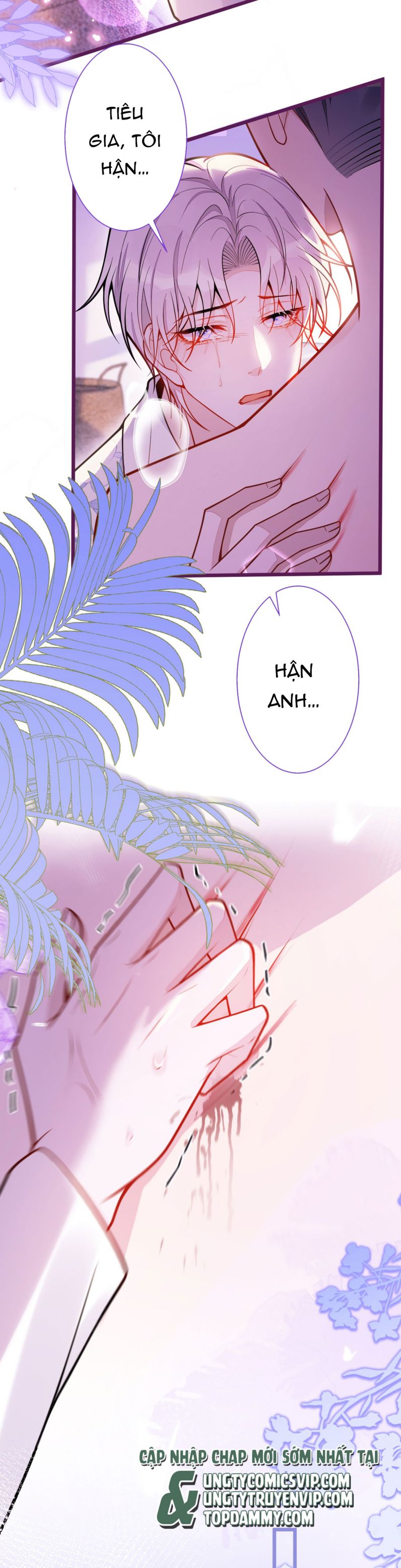 Báo Ân Của Sói Chap 23 - Next Chap 24