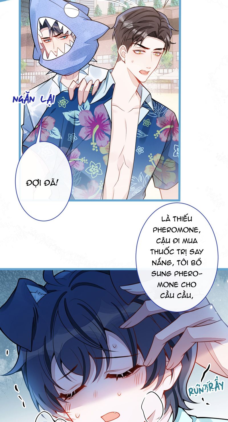 Báo Ân Của Sói Chap 32 - Next Chap 33