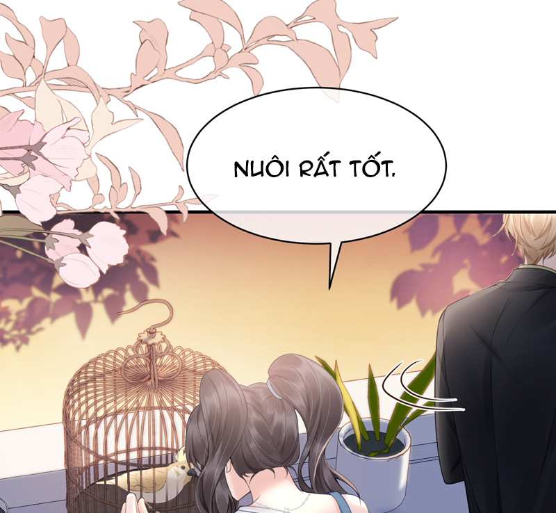 Anh Đừng Qua Đây Chap 61 - Next Chap 62