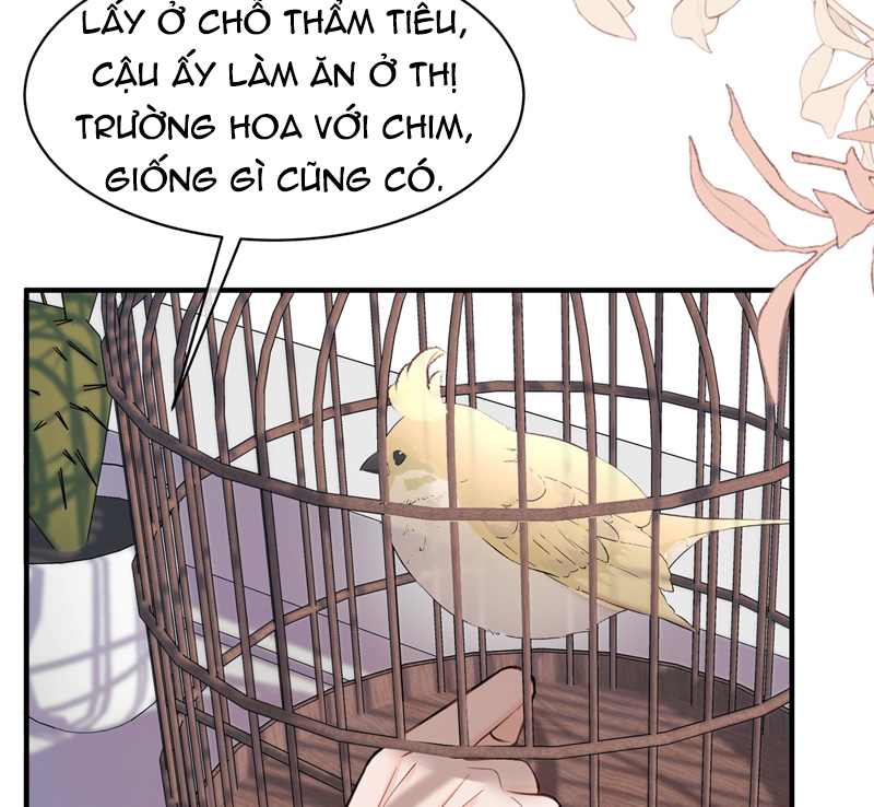 Anh Đừng Qua Đây Chap 61 - Next Chap 62