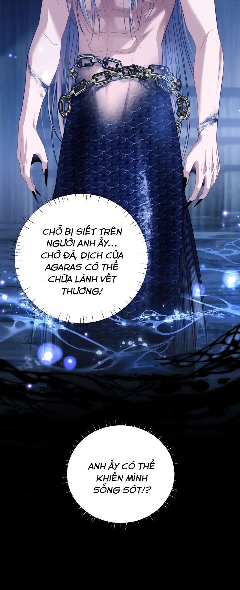 Desharow Nhân Ngư Chapter 26 - Next Chapter 27