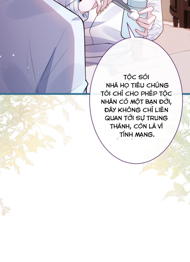 Báo Ân Của Sói Chap 54 - Next Chap 55