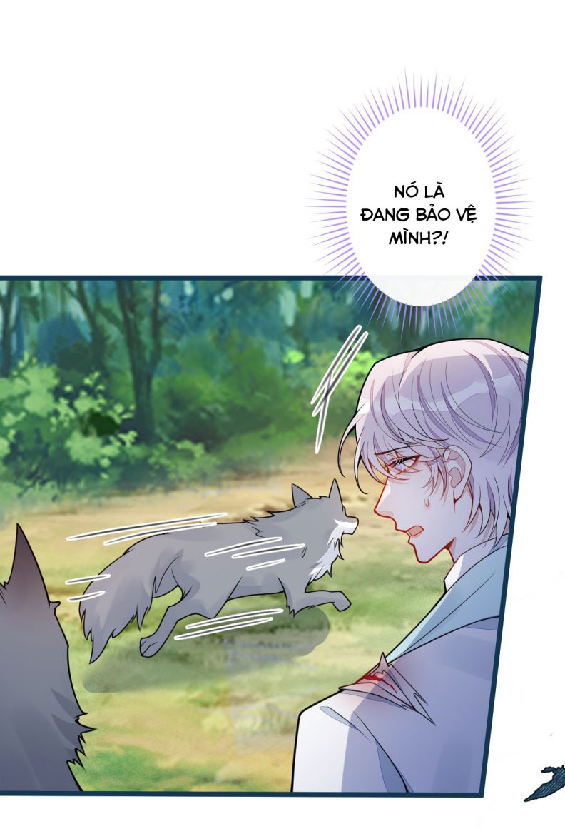 Báo Ân Của Sói Chap 55 - Next Chap 56