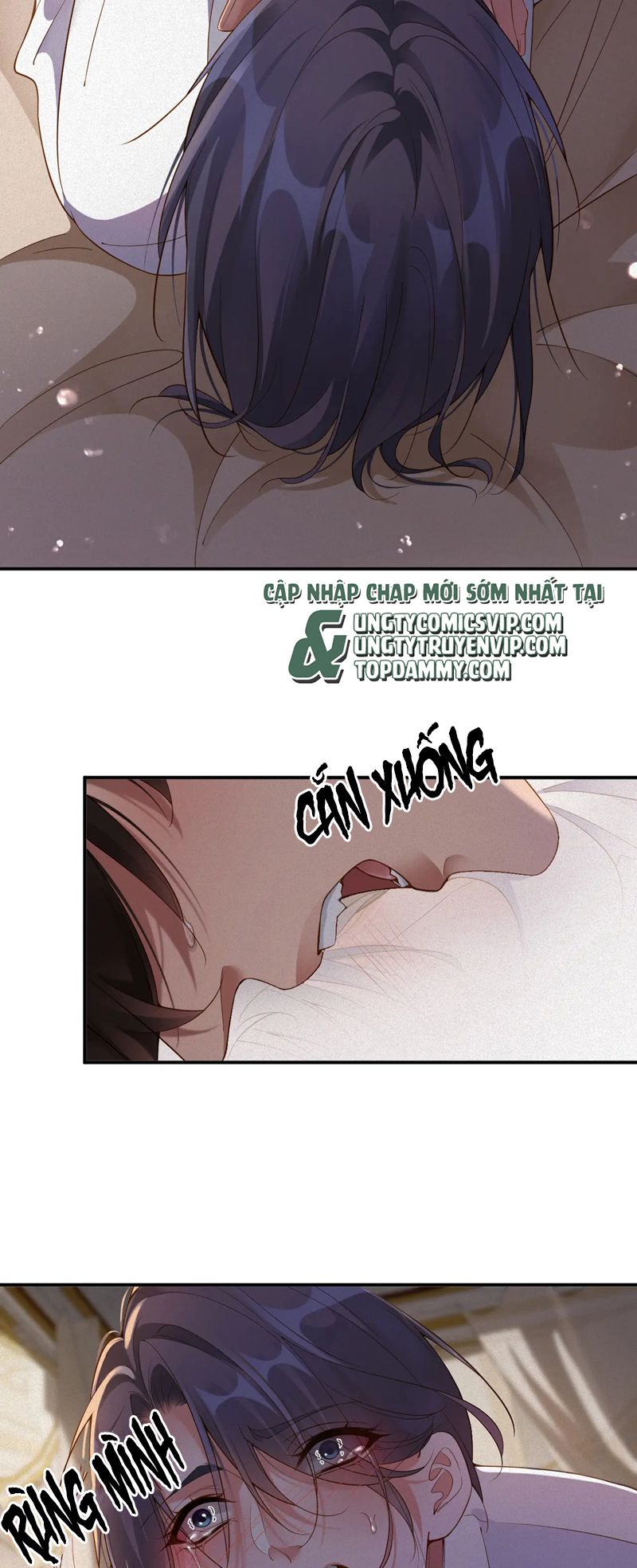 Chồng Trước Lại Muốn Phục Hôn Rồi Chap 44 - Next Chap 45