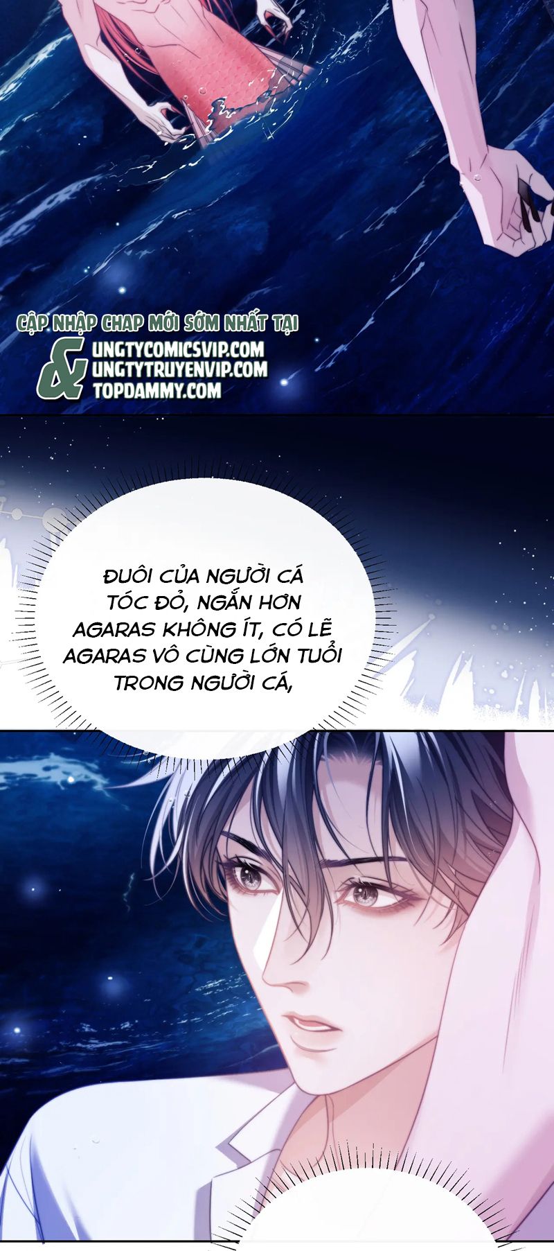 Desharow Nhân Ngư Chapter 34 - Next Chapter 35