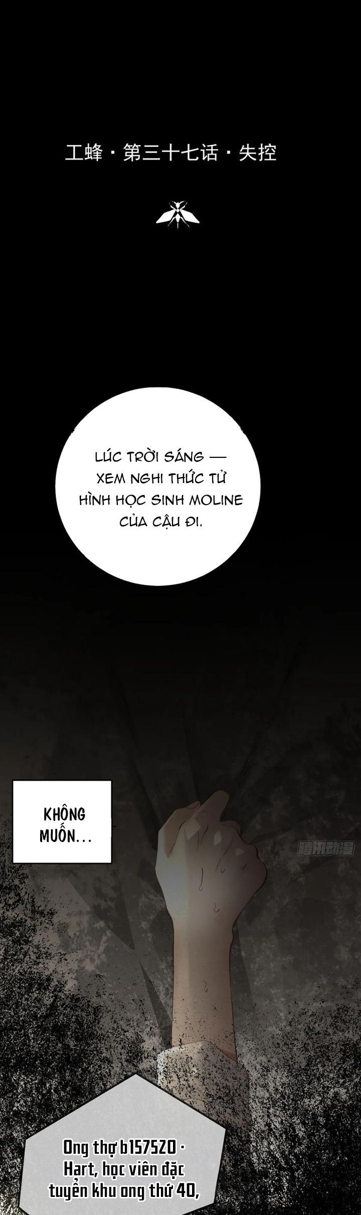 Ong Thợ Chapter 37 - Next Chapter 38