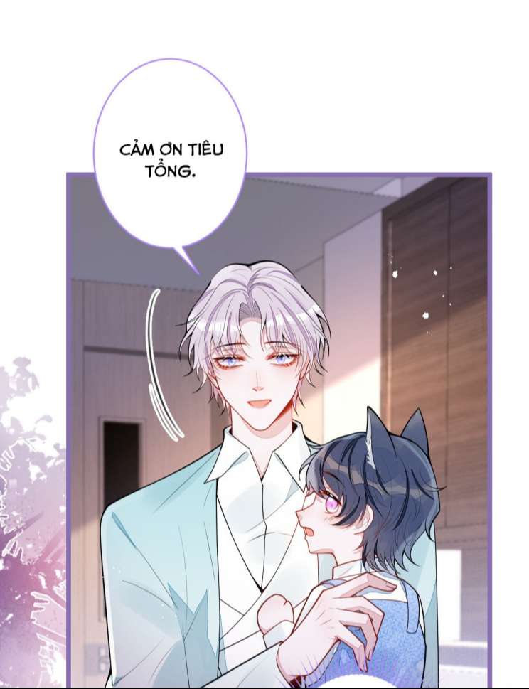 Báo Ân Của Sói Chap 57 - Next Chap 58