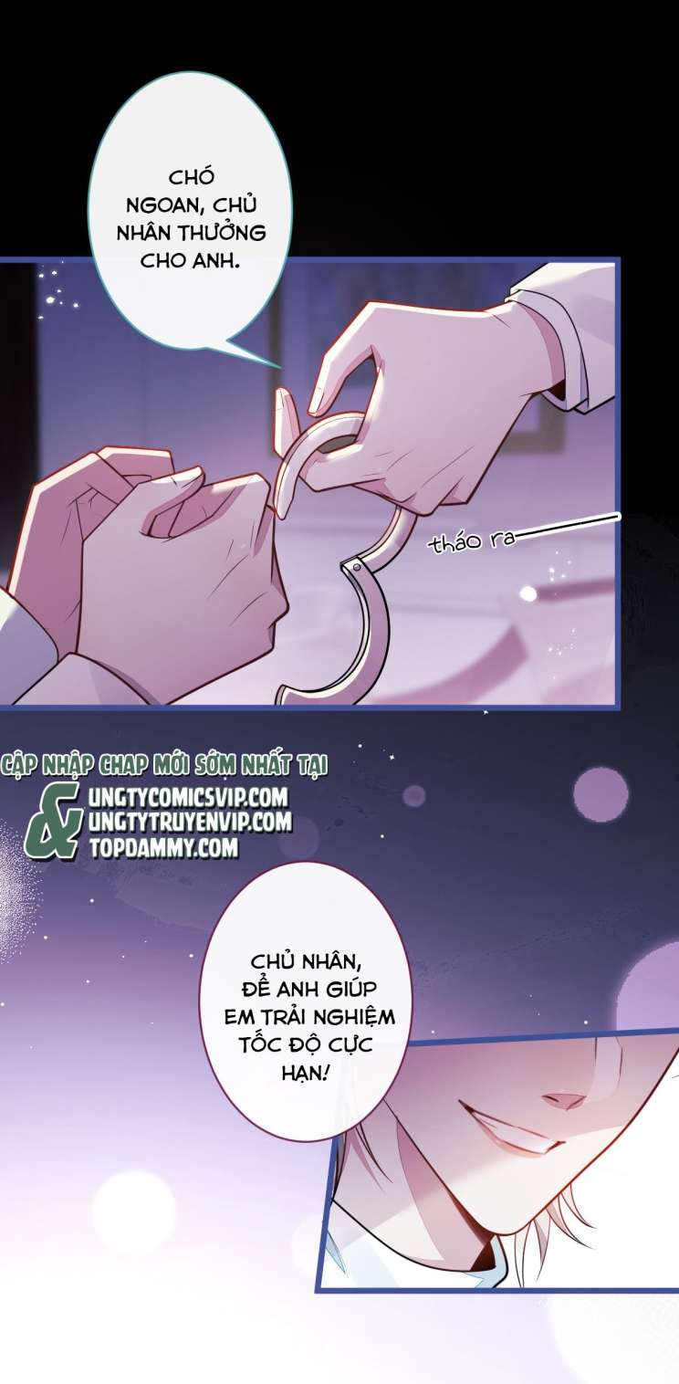 Báo Ân Của Sói Chap 57 - Next Chap 58