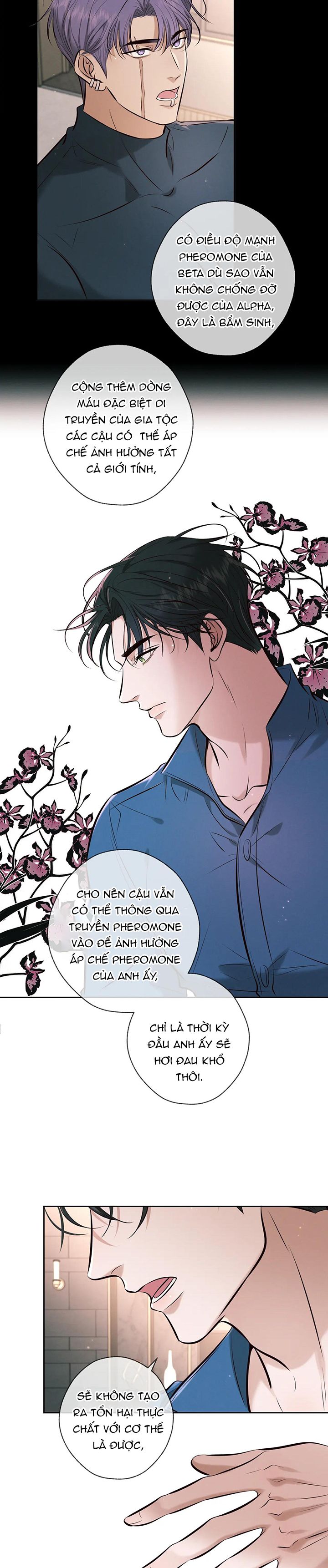 Đêm Tình Yêu Và Sát Ý Chap 6 - Next Chap 8