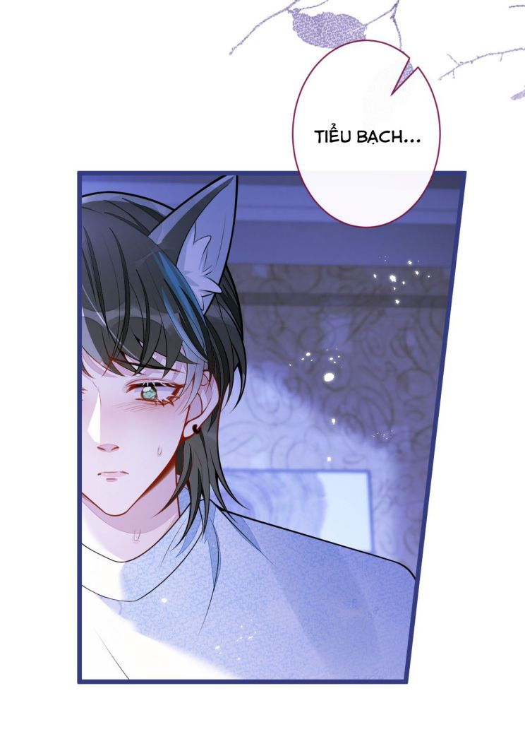 Báo Ân Của Sói Chap 62 - Next Chap 63