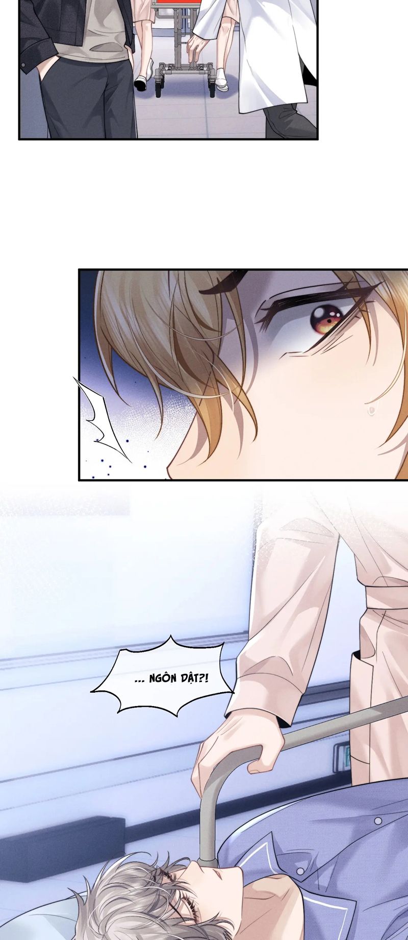 Chấp sự thỏ cụp tai Chapter 95 - Next Chapter 96