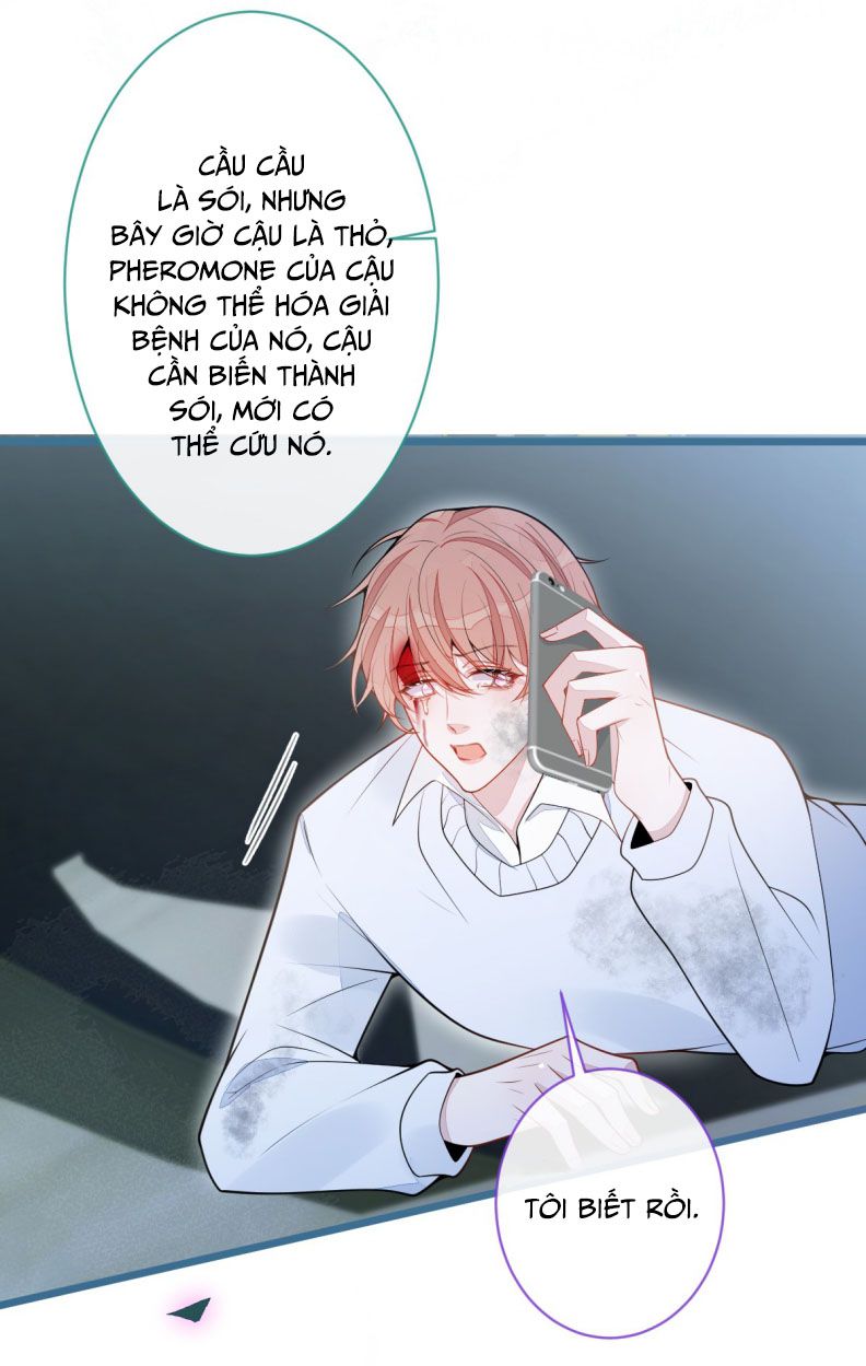 Báo Ân Của Sói Chap 66 - Next Chap 67