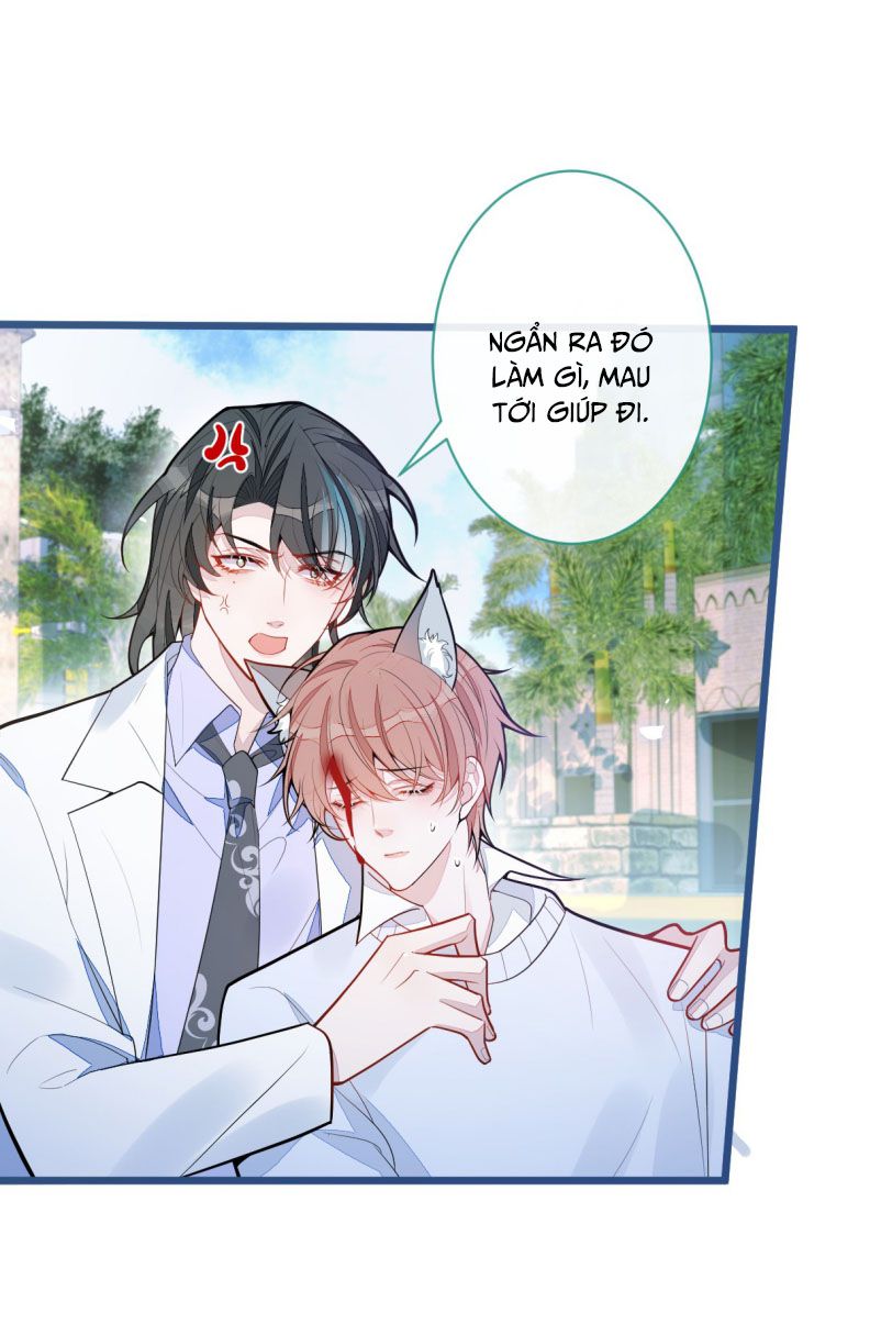 Báo Ân Của Sói Chap 66 - Next Chap 67