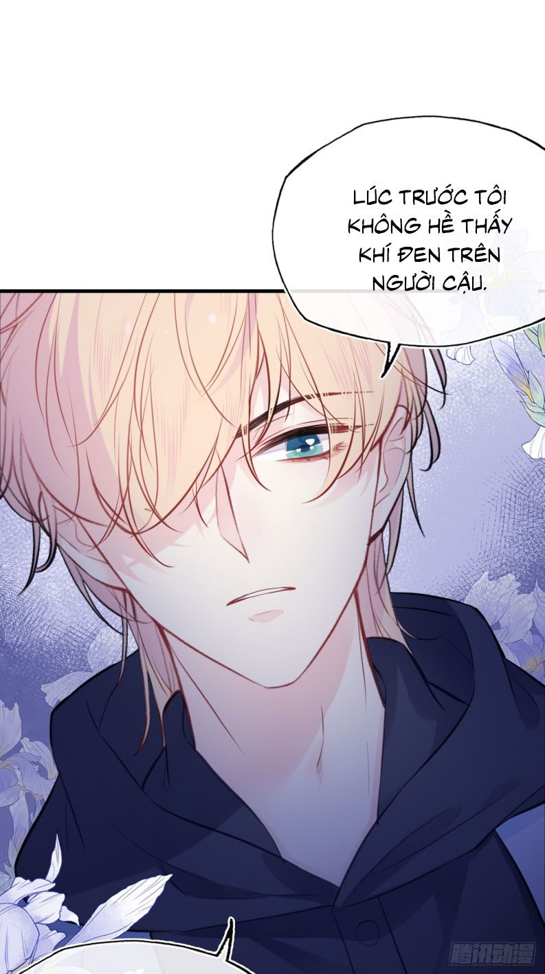 Anh Ấy Chưa Từng Rơi Xuống Chap 66 - Next Chap 67