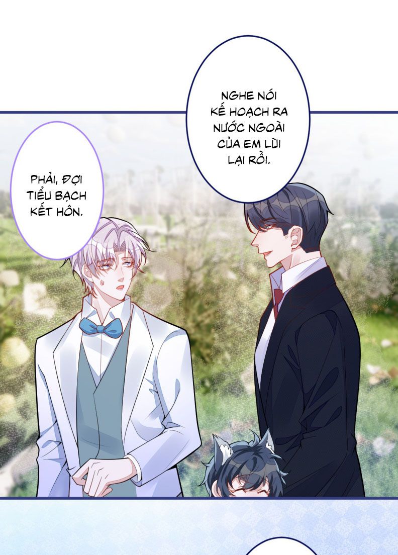 Báo Ân Của Sói Chap 70: End - Next 