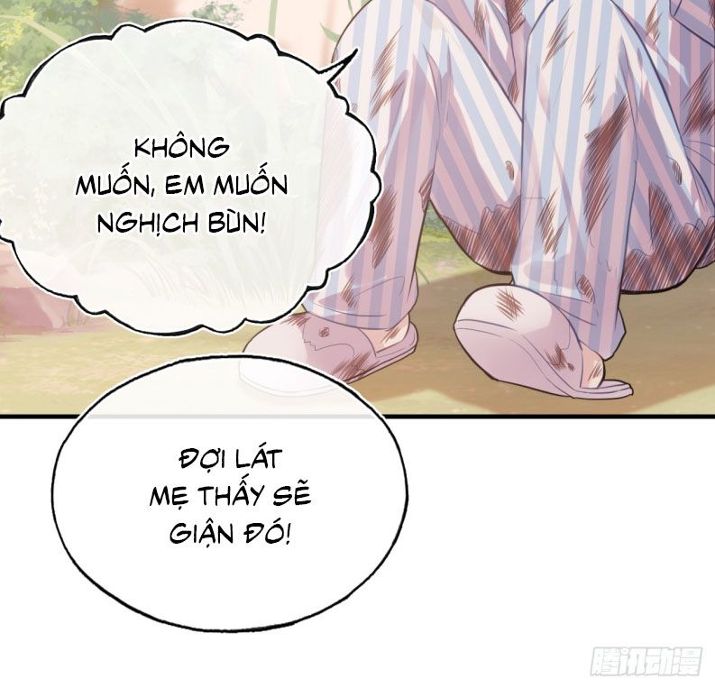 Anh Ấy Chưa Từng Rơi Xuống Chap 67 - Next Chap 68