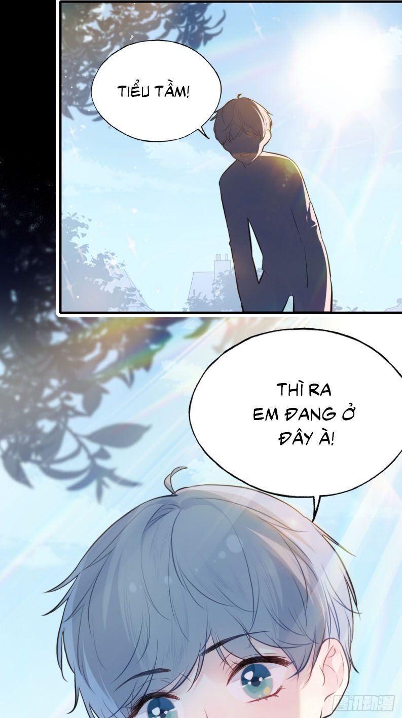 Anh Ấy Chưa Từng Rơi Xuống Chap 67 - Next Chap 68