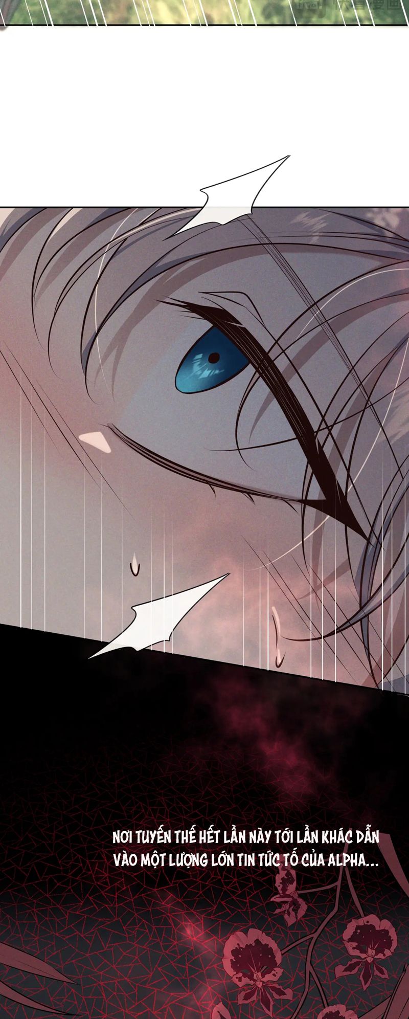 Đêm Tình Yêu Và Sát Ý Chap 17 - Next Chap 18