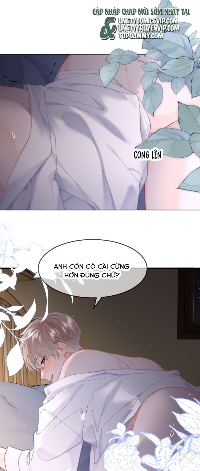 Tôi Và Ảnh Chụp Không Giống Nhau Chap 70 - Next Chap 71