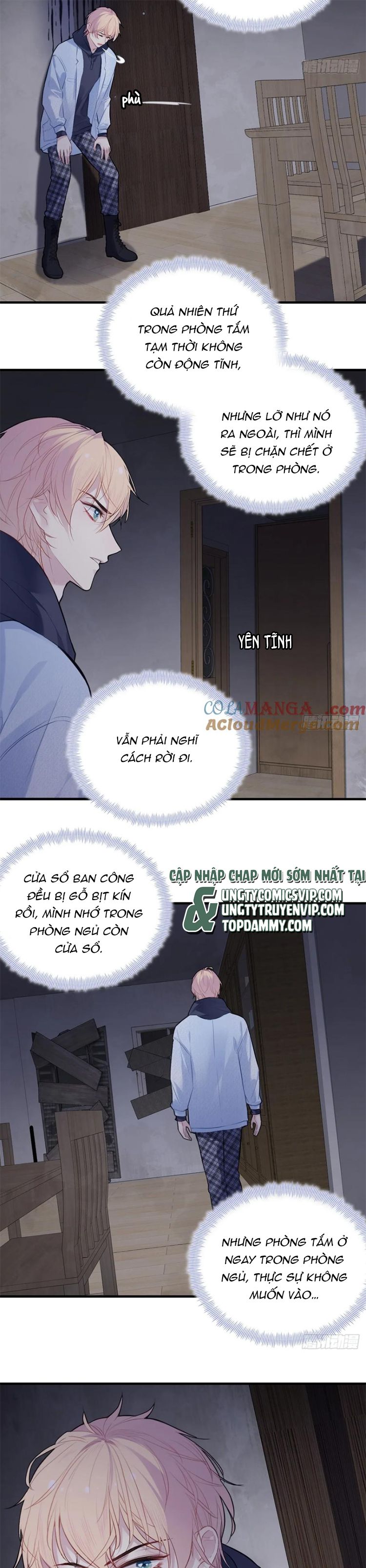 Anh Ấy Chưa Từng Rơi Xuống Chap 71 - Next Chap 72