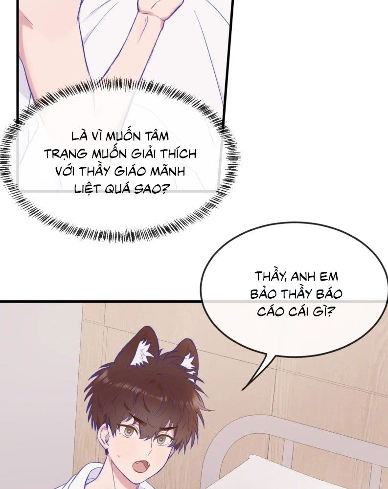 Cún Con Nói Dối Sẽ Bị Ăn Mất Chap 6 - Next Chap 7