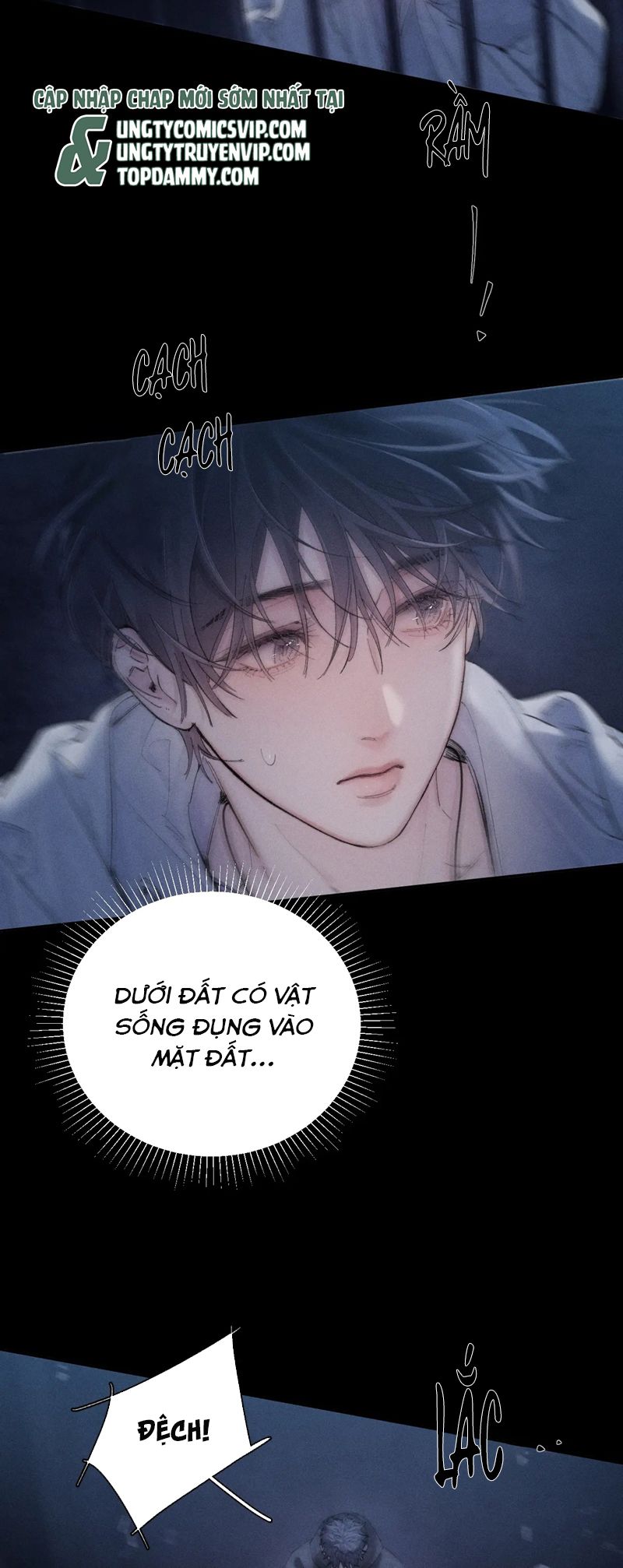 Cây Nấm Nhỏ Chapter 26 - Next Chapter 27