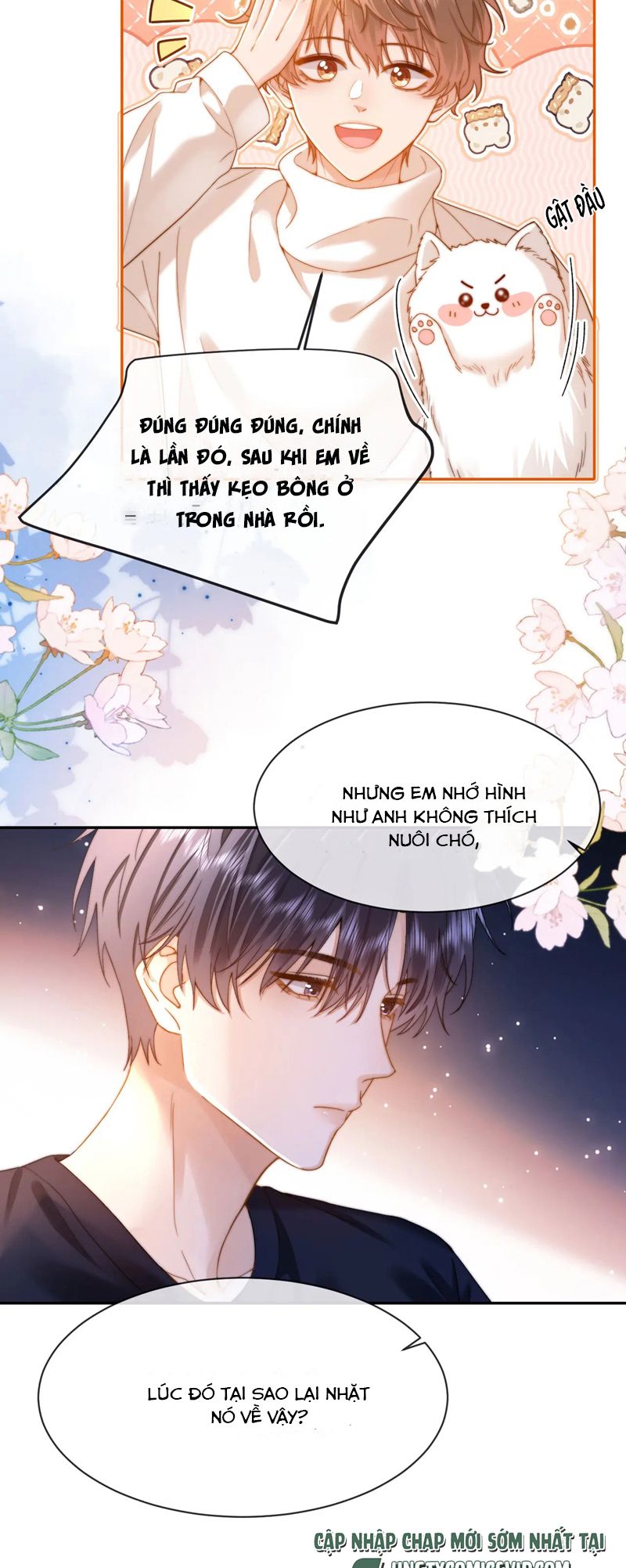 Chất Dị Ứng Đáng Yêu Chapter 51 - Next Chapter 52