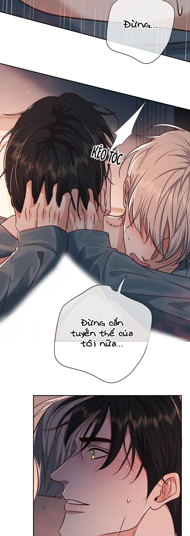 Đêm Tình Yêu Và Sát Ý Chap 24 - Next Chap 25