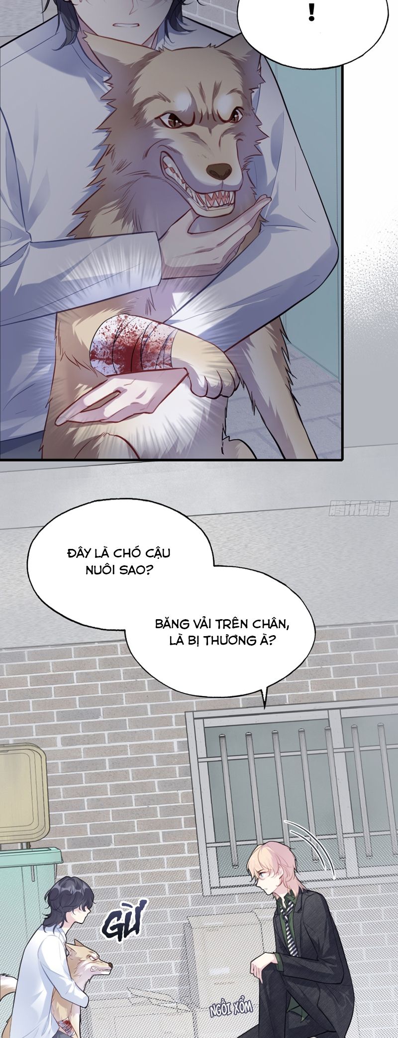 Anh Ấy Chưa Từng Rơi Xuống Chap 78 - Next Chap 79