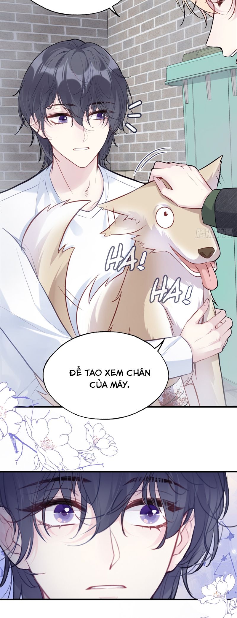 Anh Ấy Chưa Từng Rơi Xuống Chap 78 - Next Chap 79