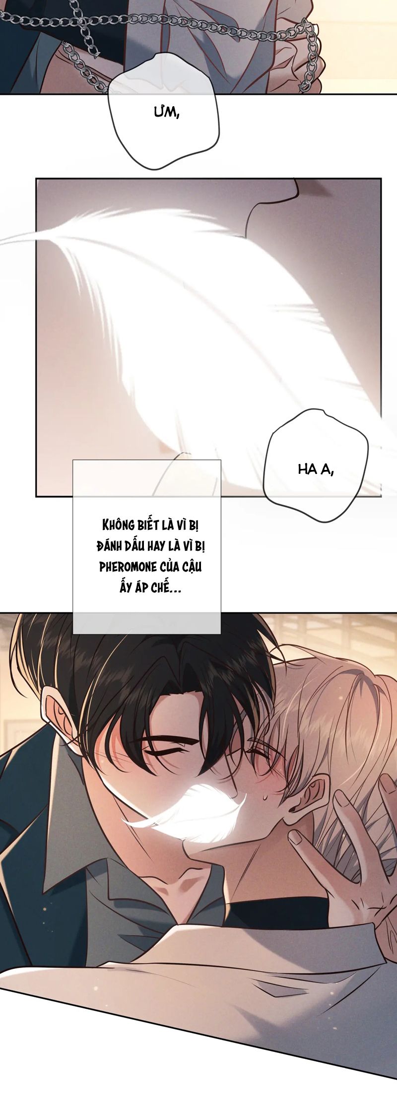 Đêm Tình Yêu Và Sát Ý Chap 28 - Next Chap 29