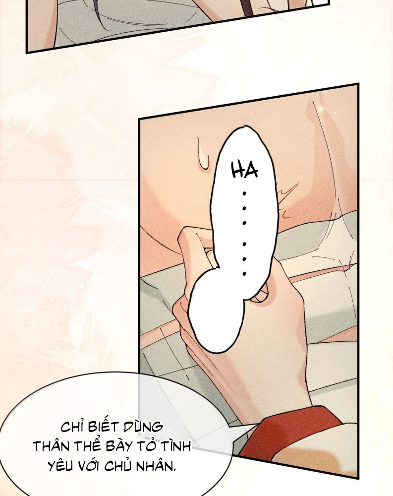 Hải Vương Sau Khi Hoàn Lương Sa Vào Tu La Tràng Chapter 16 - Next Chapter 17