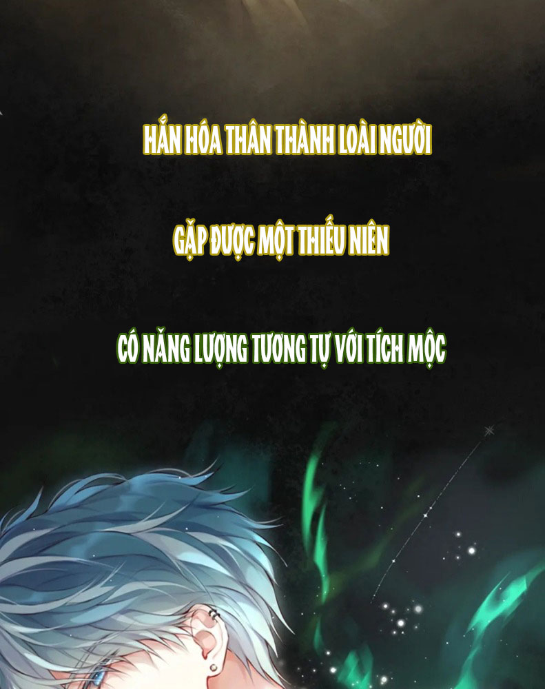 Hoặc Tinh Chi Mục Văn Án - Next Chapter 1